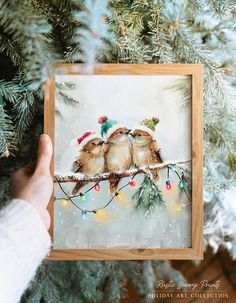 two birds sitting on a branch with christmas lights hanging from it's sides, in front of a pine tree