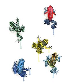 four different colored frogs sitting next to each other