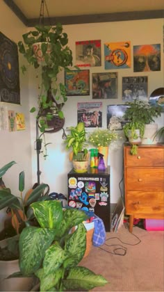 a room filled with lots of plants and pictures on the wall