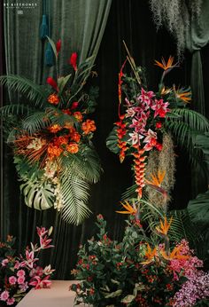 an arrangement of tropical plants and flowers on display