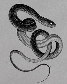 a black and white drawing of a snake