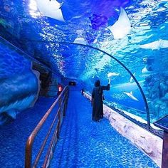 a man standing in front of an aquarium looking at sharks