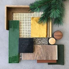 various materials are arranged on the floor next to a pine tree