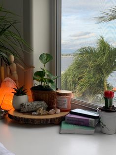 a window sill filled with potted plants next to a book and planter