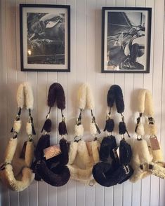 several pairs of fur lined up against a wall with pictures on the wall behind them