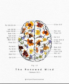 a diagram of the human brain with flowers in each section and numbers on both side