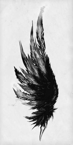 a black and white photo of a feather