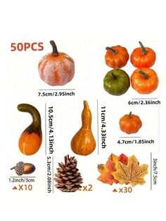 a poster with different types of pumpkins and pine cones