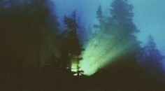 a forest filled with lots of trees covered in green and blue light at night time