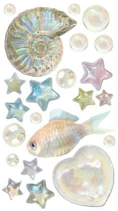 an assortment of sea shells and starfishs on a white background with bubbles in the foreground