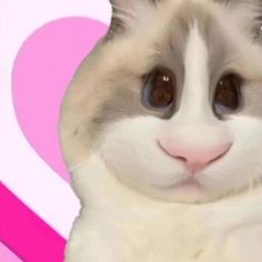 a close up of a cat's face with a pink heart in the background