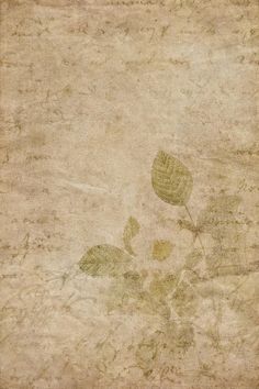 an old paper with leaves on it