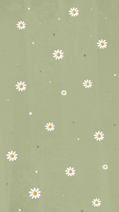 a green background with white daisies and dots