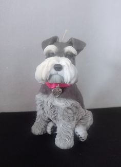 a small gray and white dog sitting on top of a black table next to a wall