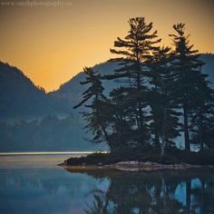 the sun is setting behind some trees on an island in the middle of a lake