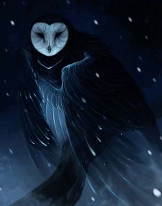 an owl sitting in the snow at night