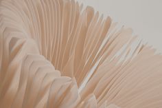 closeup of the folds of a folded paper sculpture on a white wall with no background