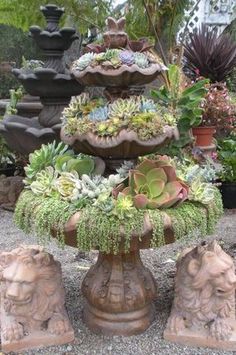 an assortment of succulents and other plants are displayed in a garden setting