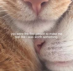 an orange and white cat with its face close to the camera text reads, you were this first person to make me feel like i was worth something