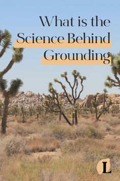 the cover of what is the science behind grounding?, with joshua trees in the background