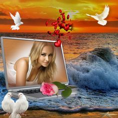 a laptop computer sitting on top of a beach next to a pink rose and two white doves