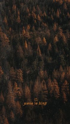 an aerial view of trees with the words jesus to king written in gold on them