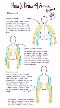 how to draw arms and shoulders