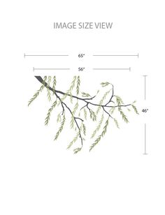 an image of a tree branch with green leaves on it and measurements for the size view