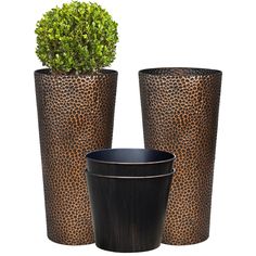 three vases with plants in them sitting next to each other on a white background