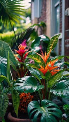 there are many tropical plants in the pot