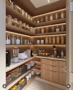 Food Storage Rooms, Kitchen Cabinetry Design, Kitchen Pantry Design, Kitchen Design Plans, House Design Kitchen, Kitchen Room Design, Pantry Design