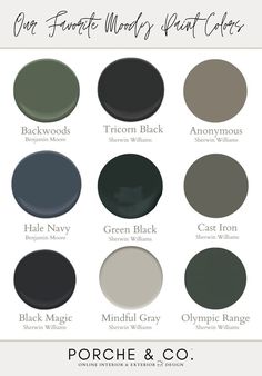 the most popular paint colors for interior walls and ceilings, including black, gray, green,