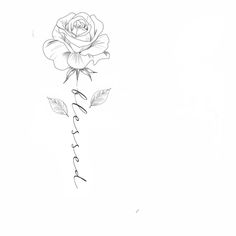 a drawing of a rose with the word love written in cursive writing on it