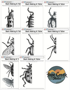 the different types of bugs and their names