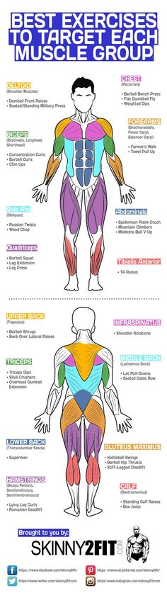 an image of the muscles and their functions in human body diagram with text on white background