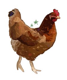 a brown and white chicken standing next to a green star on top of it's head