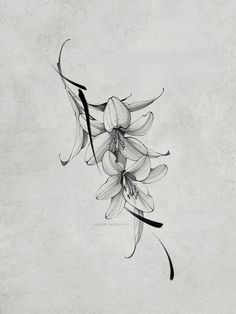 a black and white drawing of some flowers