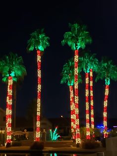 palm trees are lit up with christmas lights