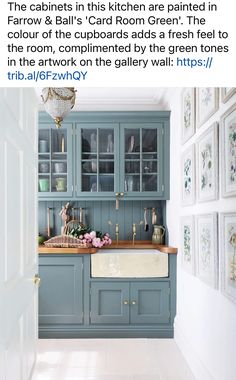 the cabinets in this kitchen are painted blue