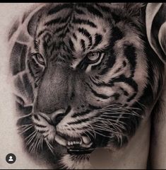 a man's chest with a black and white tattoo of a tiger on it