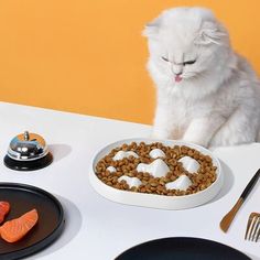 a white cat sitting on top of a table next to a bowl of food