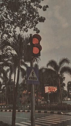 a traffic light sitting on the side of a road next to trees and palm trees