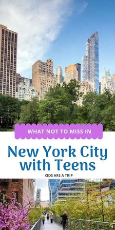 the new york city with text overlay that reads what not to miss in new york city with teens