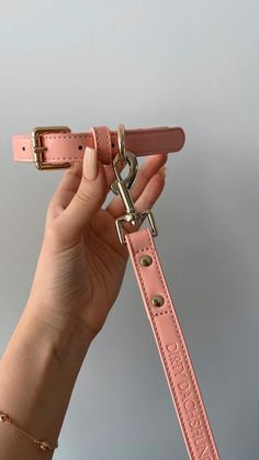 a hand holding a pink leather dog collar and leash with gold hardwares on it