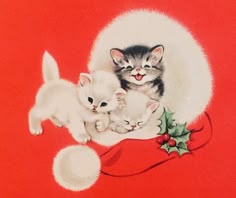 two kittens are sitting next to each other on a red background