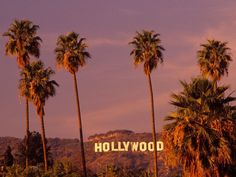 the hollywood sign is surrounded by palm trees