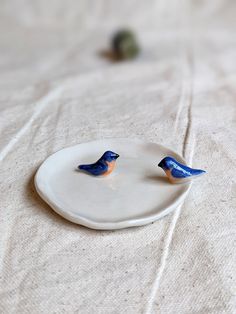 two small blue birds sitting on top of a white plate