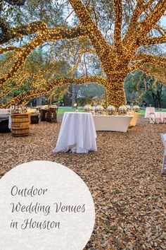 an outdoor wedding venue with tables and chairs under a large tree covered in fairy lights