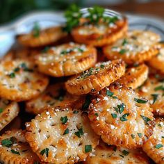 a plate filled with crackers covered in cheese and parmesan