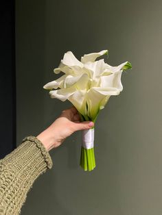 a hand holding a bouquet of white flowers